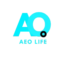 AEO logo 3